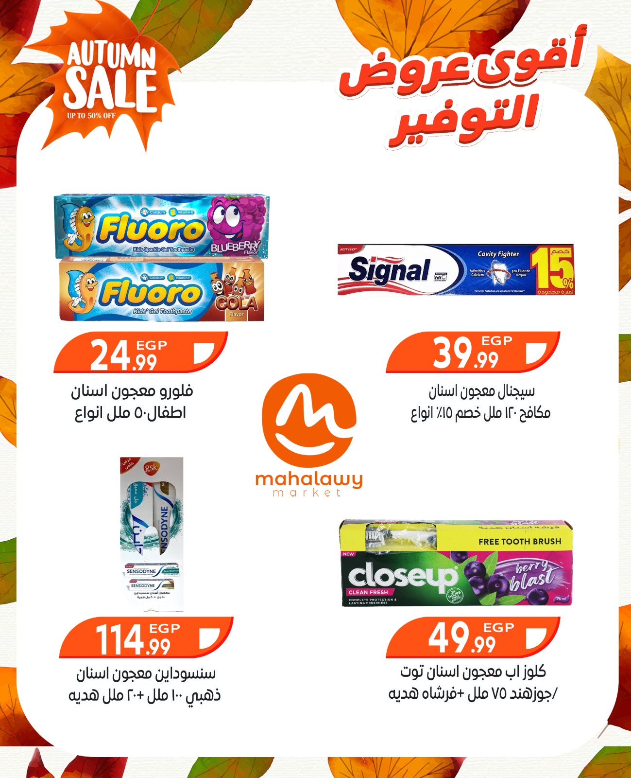 el-mahallawy-sons offers from 9oct to 3oct 2025 عروض اولاد المحلاوى من 9 أكتوبر حتى 3 أكتوبر 2025 صفحة رقم 42